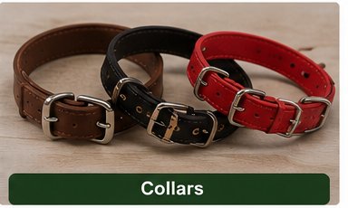 Fashion Collar