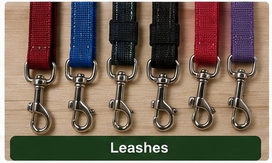 Leash & Collar Set